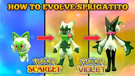 How To Evolve Sprigatito into Floragato and Meowscarada In。